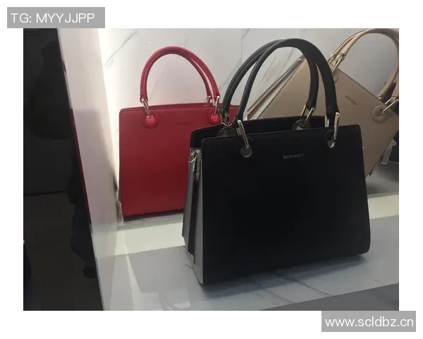 探索箱包设计创新与市场趋势，助力时尚与实用性完美结合的未来发展路径